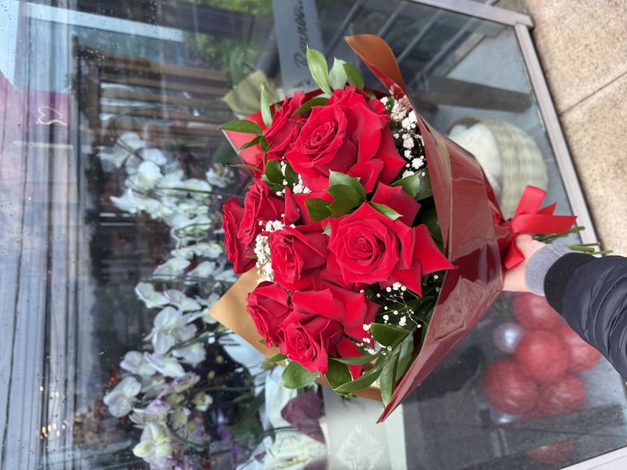 Flores e plantas
