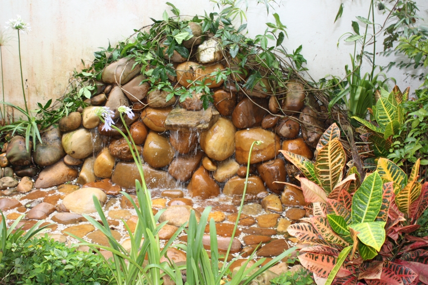 Manutenção de jardim