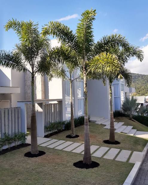 Projeto Paisagístico