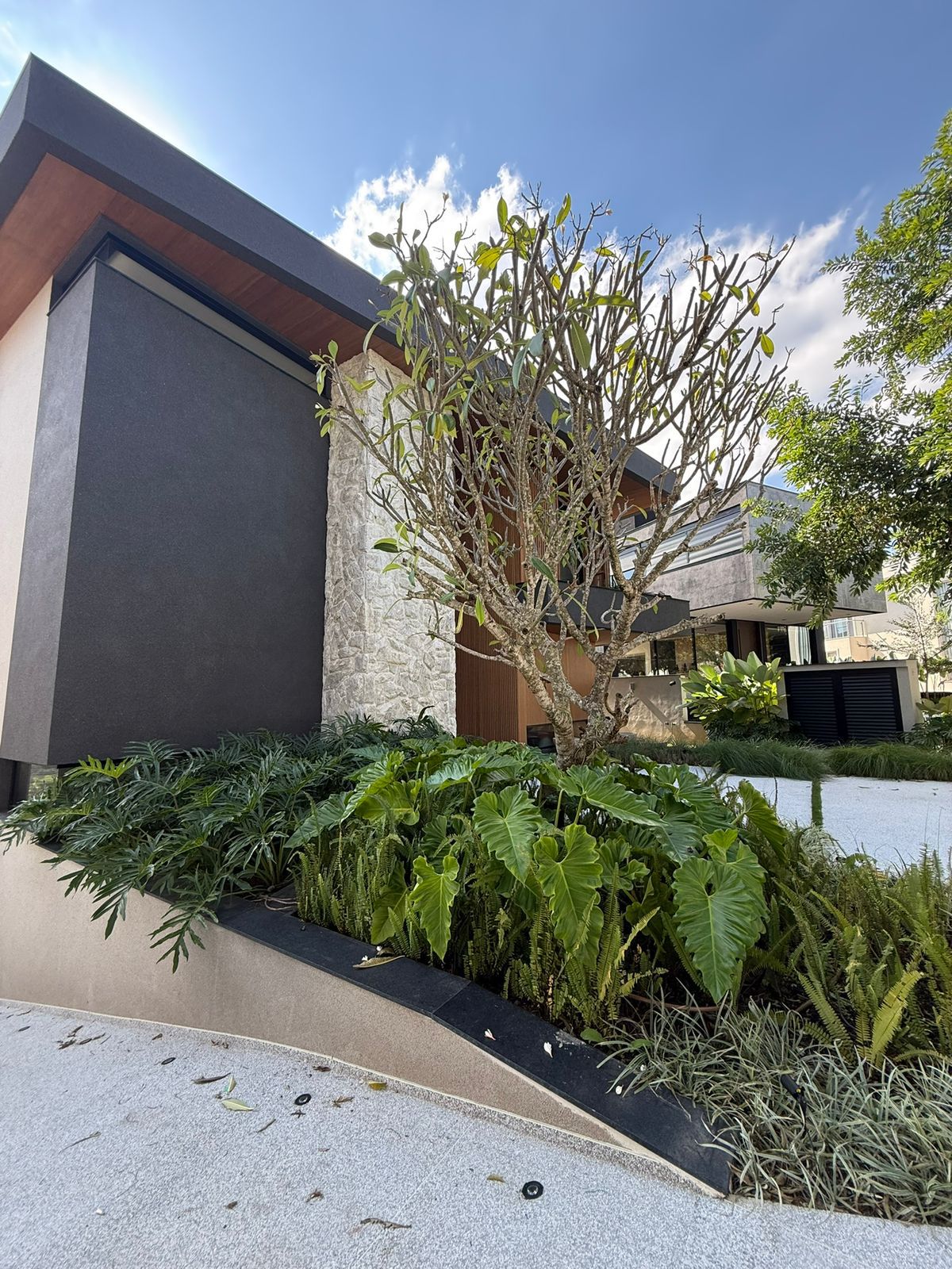 Projeto Paisagístico